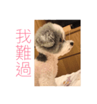 Dog Dog！（個別スタンプ：8）