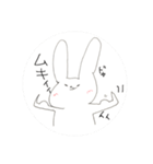 USASA of rabbit2（個別スタンプ：20）