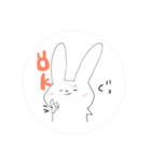 USASA of rabbit2（個別スタンプ：24）