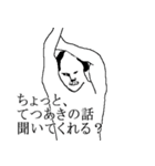 てつあき専用犬スタンプ（個別スタンプ：3）