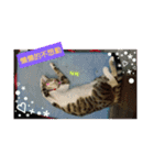 Palu baby（個別スタンプ：14）