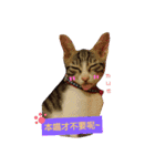 Palu baby（個別スタンプ：25）