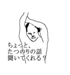 たつのり専用犬スタンプ（個別スタンプ：3）