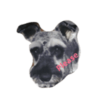 We love Schnauzers（個別スタンプ：7）