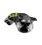 We love Schnauzers（個別スタンプ：11）