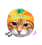 うちのねここ（個別スタンプ：3）