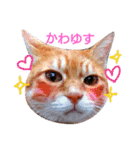 うちのねここ（個別スタンプ：5）