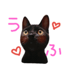うちのねここ（個別スタンプ：34）