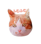 うちのねここ（個別スタンプ：36）