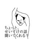 せいすけ専用犬スタンプ（個別スタンプ：3）