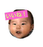 Sticker of kaishu 3（個別スタンプ：21）