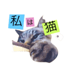 れおたむ（個別スタンプ：5）