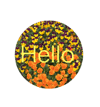 Hello.Flower stamp4（個別スタンプ：12）