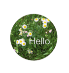 Hello.Flower stamp4（個別スタンプ：15）