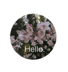 Hello.Flower stamp4（個別スタンプ：18）