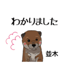 並木さんが使う可愛い子犬の名前スタンプ（個別スタンプ：5）