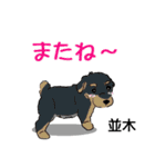 並木さんが使う可愛い子犬の名前スタンプ（個別スタンプ：23）