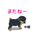 中根さんが使う可愛い子犬の名前スタンプ（個別スタンプ：23）