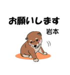 岩本さんが使う可愛い子犬の名前スタンプ（個別スタンプ：1）