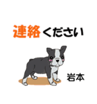 岩本さんが使う可愛い子犬の名前スタンプ（個別スタンプ：12）