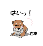 岩本さんが使う可愛い子犬の名前スタンプ（個別スタンプ：22）