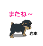 岩本さんが使う可愛い子犬の名前スタンプ（個別スタンプ：23）