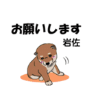 岩佐さんが使う可愛い子犬の名前スタンプ（個別スタンプ：1）