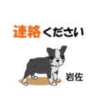 岩佐さんが使う可愛い子犬の名前スタンプ（個別スタンプ：12）
