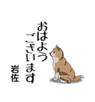 岩佐さんが使う可愛い子犬の名前スタンプ（個別スタンプ：17）