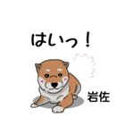 岩佐さんが使う可愛い子犬の名前スタンプ（個別スタンプ：22）