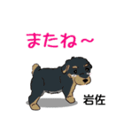 岩佐さんが使う可愛い子犬の名前スタンプ（個別スタンプ：23）