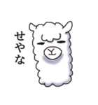 Surreal alpaca Andy（個別スタンプ：8）