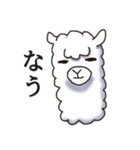 Surreal alpaca Andy（個別スタンプ：14）