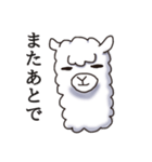 Surreal alpaca Andy（個別スタンプ：17）