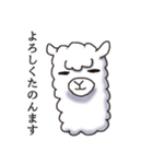 Surreal alpaca Andy（個別スタンプ：21）