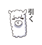 Surreal alpaca Andy（個別スタンプ：22）