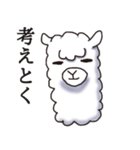 Surreal alpaca Andy（個別スタンプ：25）