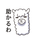 Surreal alpaca Andy（個別スタンプ：29）