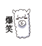 Surreal alpaca Andy（個別スタンプ：37）