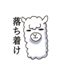 Surreal alpaca Andy（個別スタンプ：39）