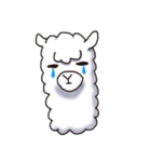 Surreal alpaca Andy（個別スタンプ：40）