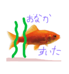 金魚のひとりごと（個別スタンプ：1）