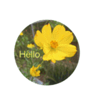 Hello.Flowers stamp2（個別スタンプ：3）