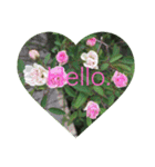 Hello.Flowers stamp2（個別スタンプ：29）