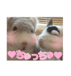 ((♥︎︎チンチラとその仲間たち♥︎︎))（個別スタンプ：4）