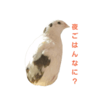 uzuranoyuzu（個別スタンプ：2）