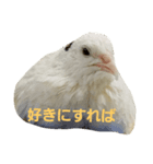 uzuranoyuzu（個別スタンプ：4）