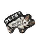 Rabbit＆cat Together（個別スタンプ：28）