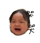 Daily Emoji of Baby Lily（個別スタンプ：1）