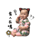 Q than the daily（個別スタンプ：12）